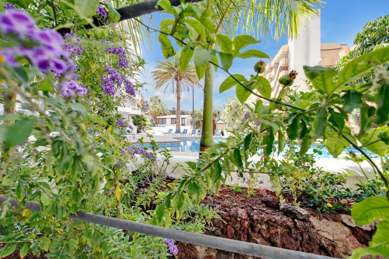 Apartment Ferienwohnung Best Holiday, Incredible View Playa de las Américas